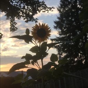 Meet your Posher, Katrina